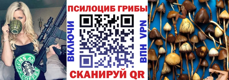 Псилоцибиновые грибы Psilocybine cubensis  даркнет сайт  Новопавловск 